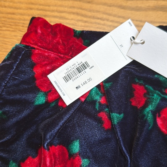 NWT Janie and Jack Rose Velvet Tulle Skirt | 2T - Picture 6 of 6